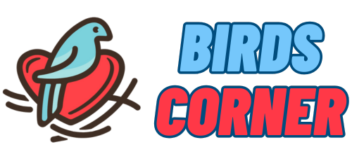 BIRDS CORNER LOGO